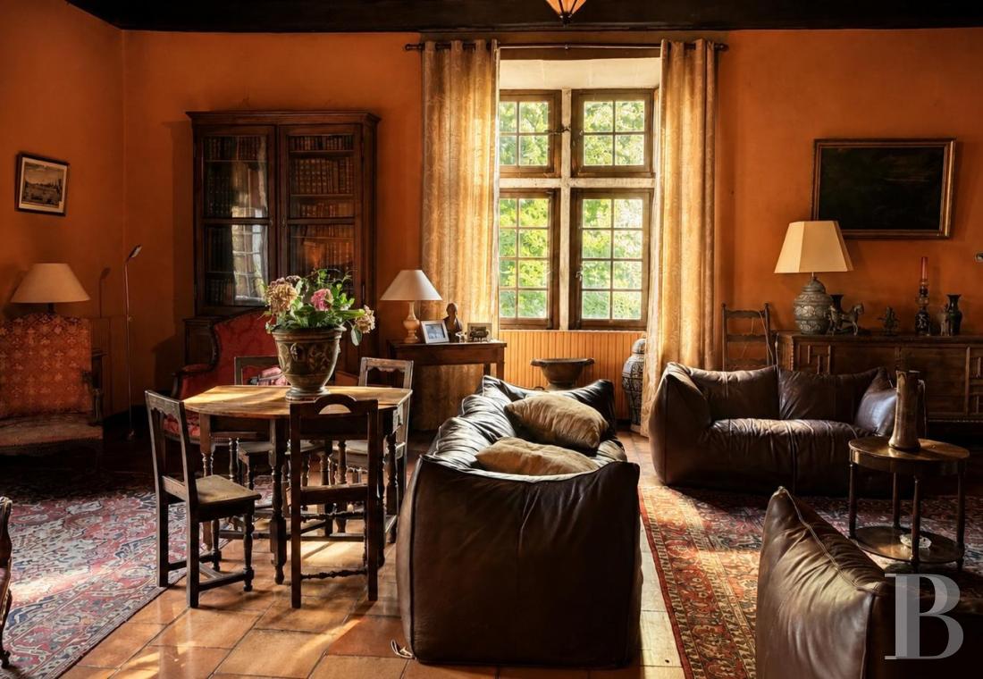 France mansions for sale rhones alps   - 7